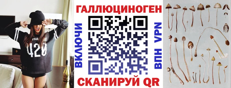 mega tor  Новоуральск  Псилоцибиновые грибы Cubensis 