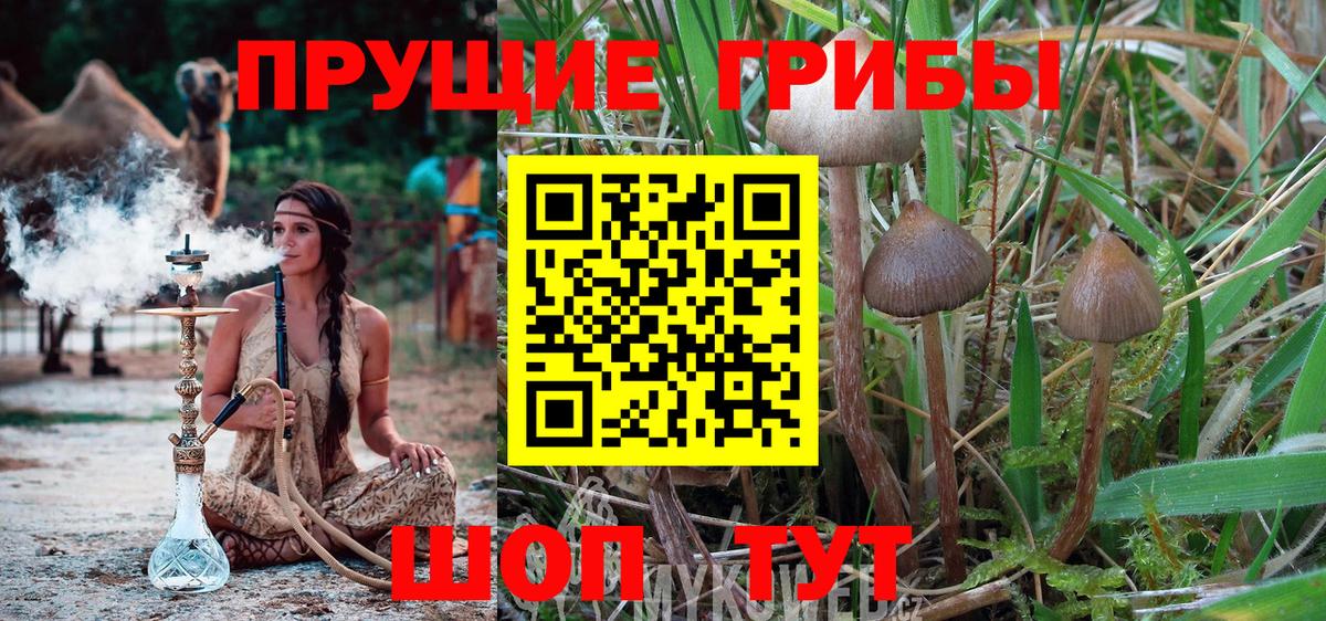 Галлюциногенные грибы MAGIC MUSHROOMS  Вход с VPN  Псилоцибиновые грибы Psilocybine cubensis  Новоуральск 